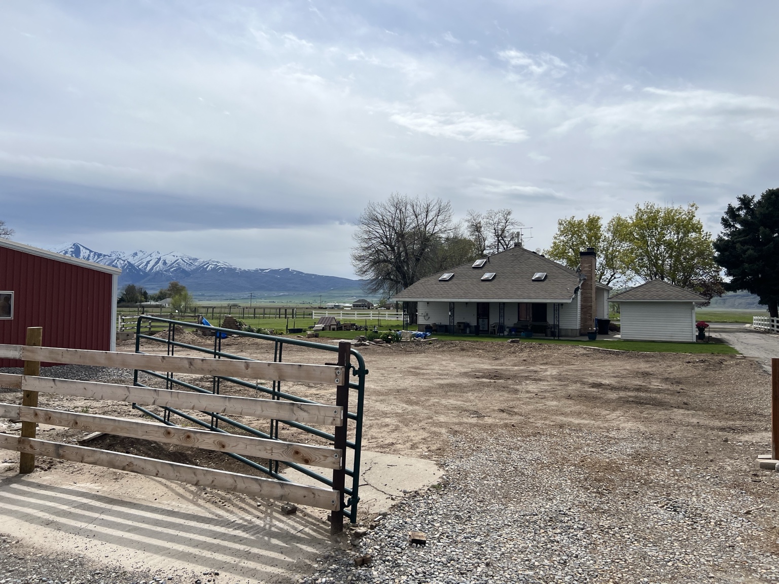 Open property after tree removal