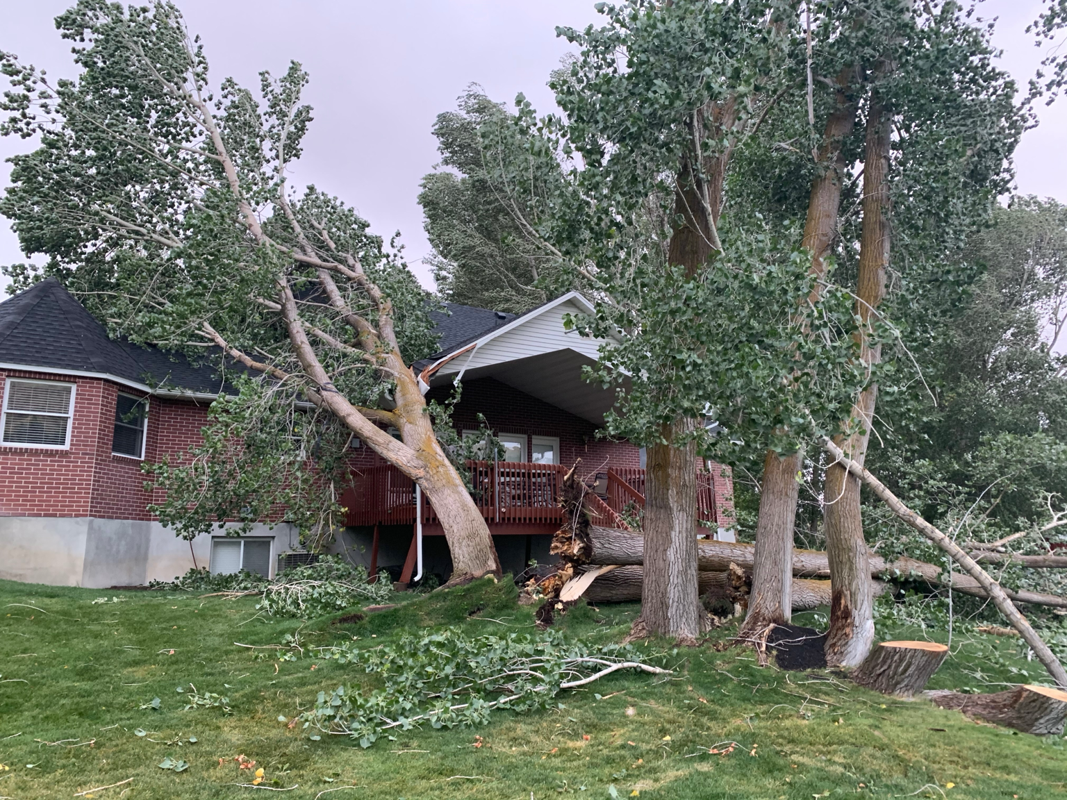 Hazard tree removal after storm damage near a home